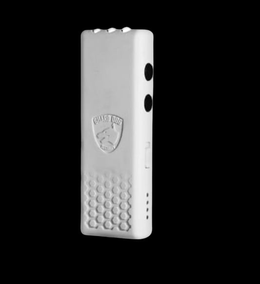 Mini stun gun with flashlight